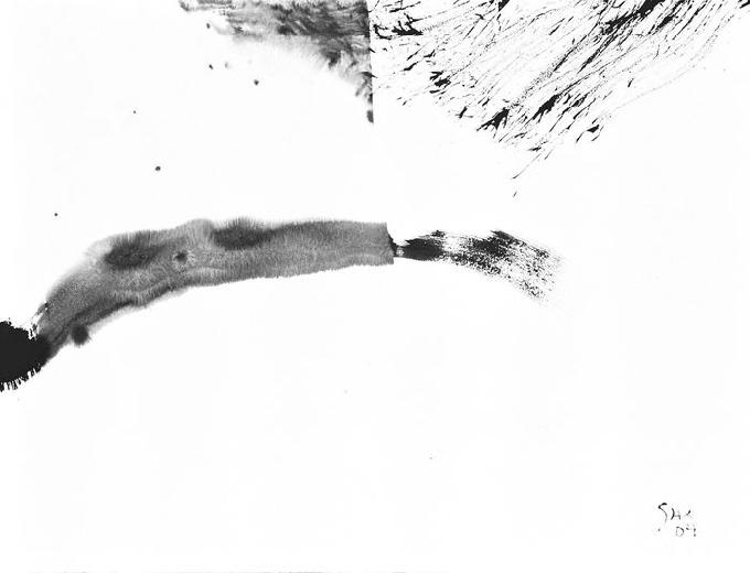 5-2004 different 51x66 chf 2000.jpg